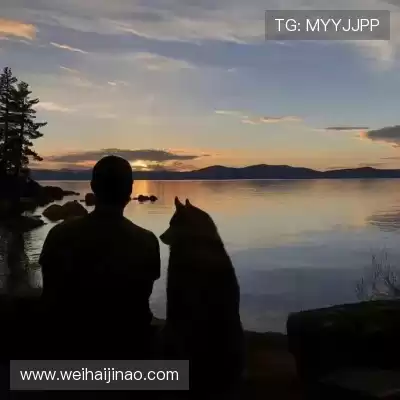 怀献义